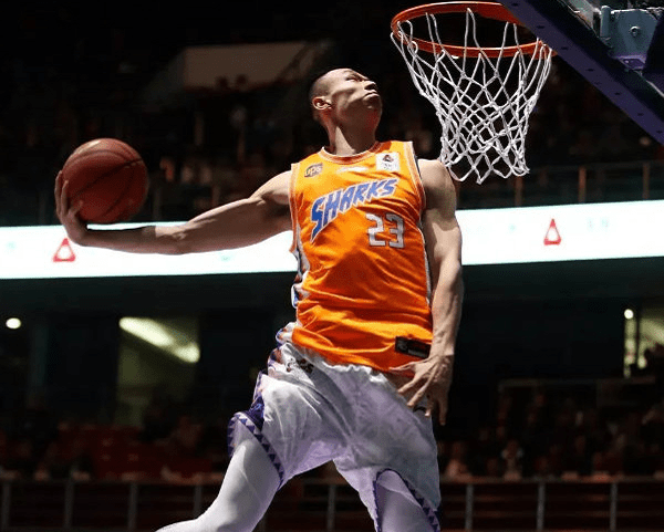 包含浙江队内部会议纪要流出——赛前官宣签约，欧篮联使命明确，更衣室氛围转暖的词条